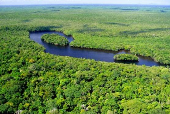  Brasil, presentado como el país que logró las mayores reducciones en la deforestación y en las emisiones a nivel global.
