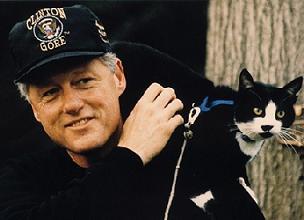 A Bill siempre le gustaron los gatos