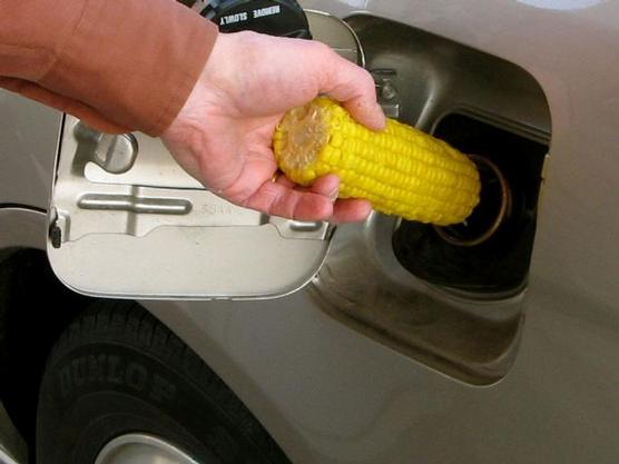 Cargar combustible partiendo del maíz