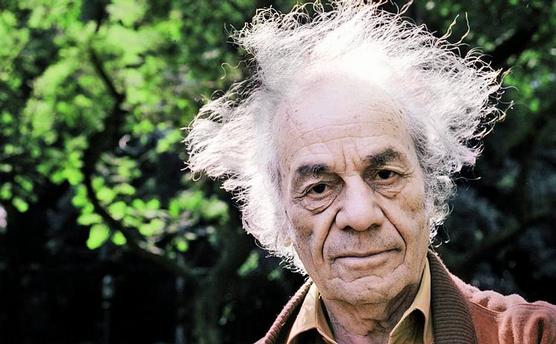 El encumbrado poeta chileno, Nicanor Parra
