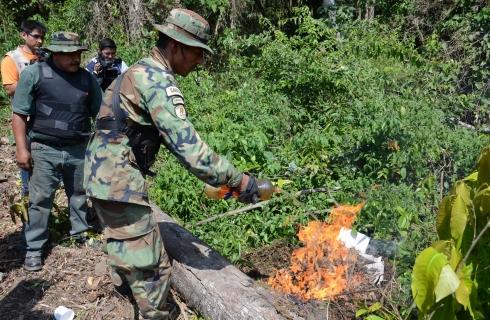 Un militar inicia la quema de un cocalar