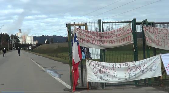 Mapuches protestan contra explotacion forestal