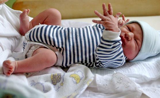 Un bebé en el hospital San Juan en Budapest (Hungría), resultado de Fertilización In Vitro de un óvulo congelado. Foto: EFE.