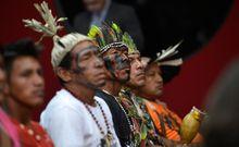 Indigenas de Pará, en el parlamento brasileño