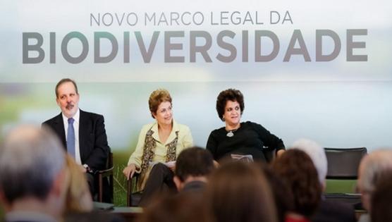 Dilma promueve los derechos de los pueblos originarios