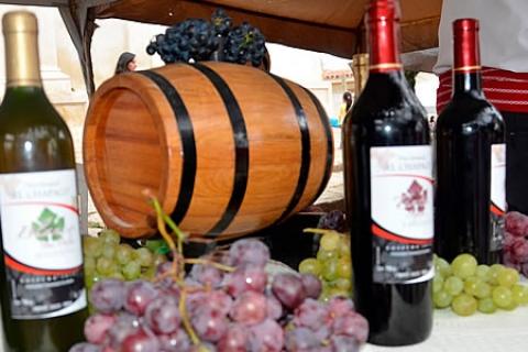 Los reconocidos vinos de Tarija
