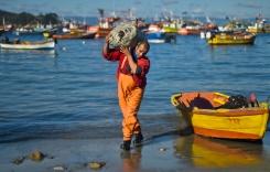 Un pescador chileno en el puerto de Concepción, 519 km al sur de Santiago 
