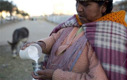 La nutritiva leche de burra de consumo entre los bolivianos
