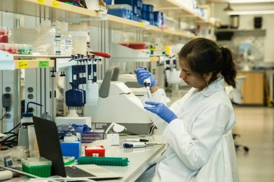 Una investigadora prepara muestras de ADN en un laboratorio del Centro del genoma de Nueva York,