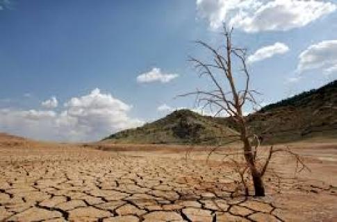 La sequía arrasa con todo el oriente boliviano