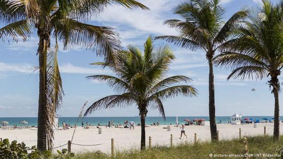 Los mosquitos acechan las playas de Miami