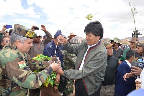 Morales también distribuyó plantines
