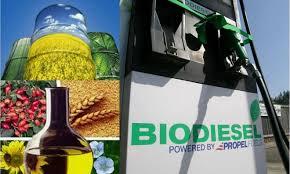 Biodiesel a los tanques