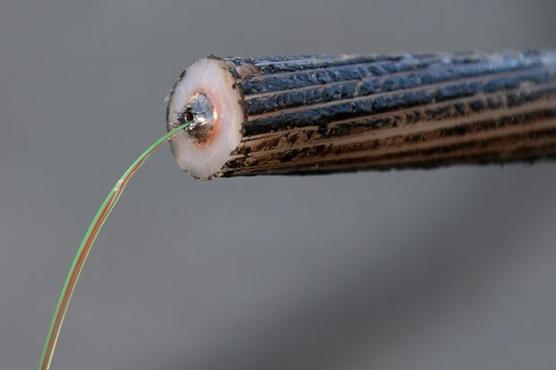 Un cable submarino para internet de alta velocidad 