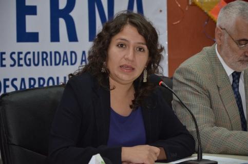 La ministra de Salud de Bolivia, Ariana Campero,