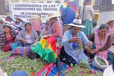 Vendedoras de coca en los mercados