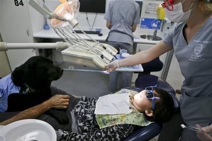 Zucca sobre las piernas de Diego en el dentista