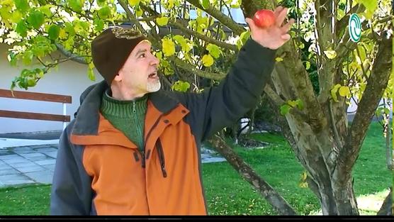 Abramson agarra una manzana como si fuera Newton
