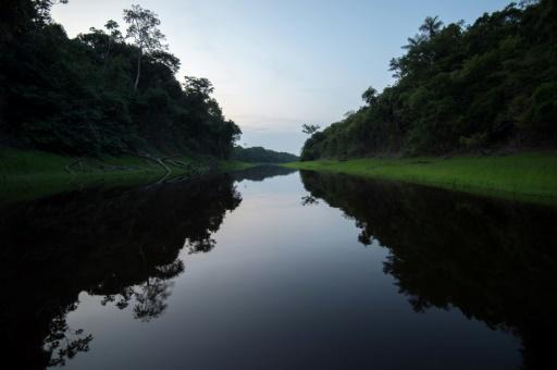 Vista de un afluente del río Negro en Manaos, en la Amazonía brasileña