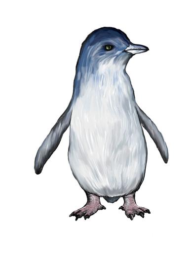 Reconstrucción del pinguino enano