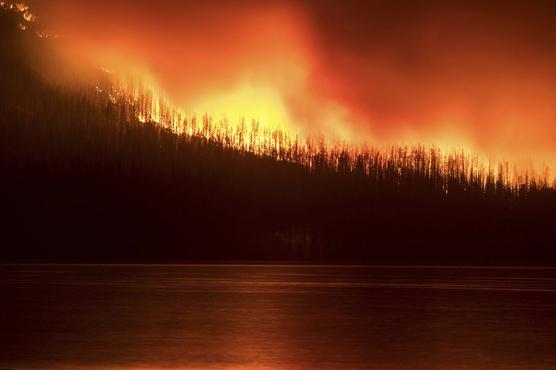 Los famosos bosques de Montana incendiados