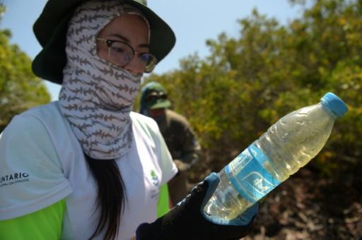 Un voluntario sostiene una botella de plástico recolectada en la isla Isabela en el archipiélago de Galápagos