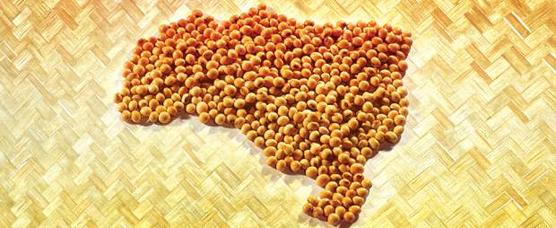 Mapa brasileño con granos de soja