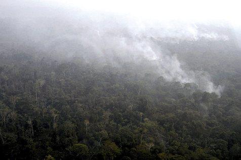 Incendio en la selva amazónica (foto: ANSA)
