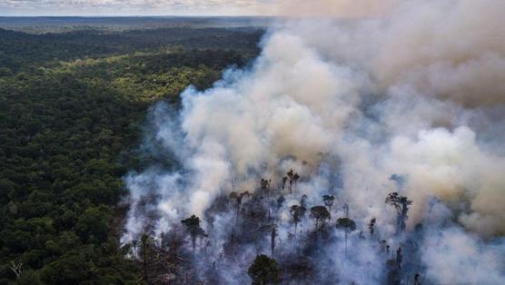 La deforestación de la Amazonia brasileña alcanzó en el último año un ritmo acelerado sin precedentes