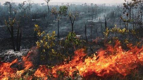 Llamas en el Amazonas, el presidente Jair Bolsonaro insinúa responsabilidad de ONG (foto: 