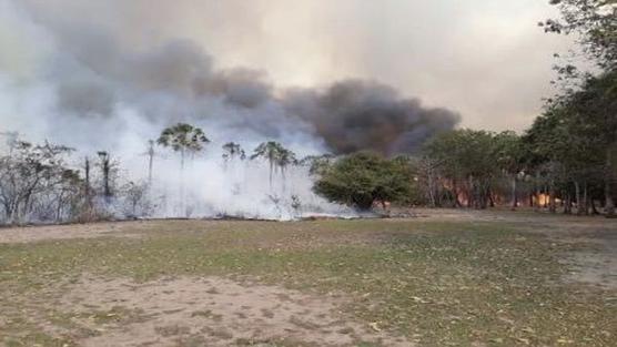 Se quemaron 20 mil hectáreas de bosques nativos