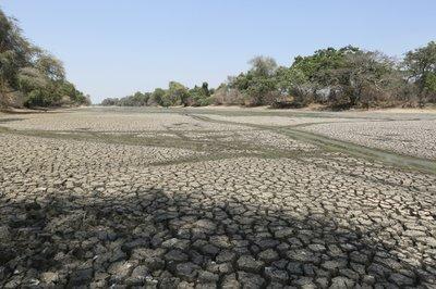 Un estanque seco que solía ser un suministro de agua en el Parque Nacional Mana Pools, en Zimbabue. 