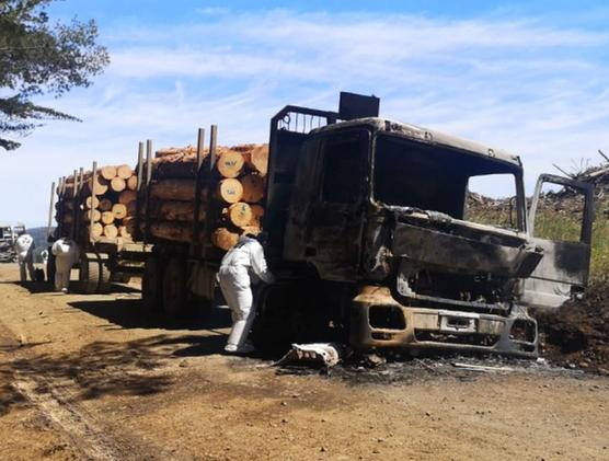 Camiones madereros quemados en el sur chileno