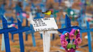 Un pájaro sobrevuela una cruz en un área reservada para el entierro de las víctimas del covid-19 en el cementerio de Manaus