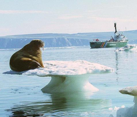 Una nave oceanográfica en la plataforma del Artico. (foto: ANSA)